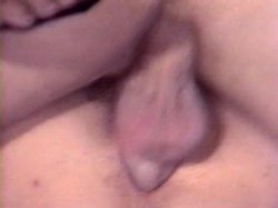 Captura de 'Seka's Porn Players' nº 131