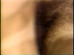 Captura de 'Nina Hartley's Porn Players' nº 106