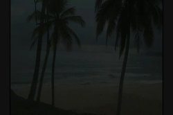 Captura de 'Surf Fuckers' nº 44