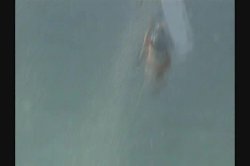 Captura de 'Surf Fuckers' nº 123