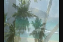 Captura de 'Surf Fuckers' nº 129