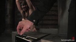'The Training Of O - Featuring Bobbi Starr' screenshot nº 72