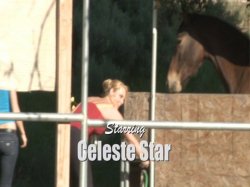 'Women Seeking Women Vol. 63' screenshot nº 1