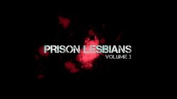 'Prison Lesbians Vol. 3' screenshot nº 2