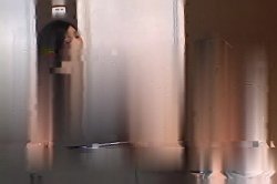 Captura de 'Hot Mexican Pussy 5' nº 137