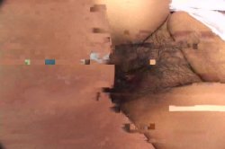 Captura de 'Hot Mexican Pussy 5' nº 56