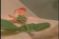 'Nina Hartley's Guide To Foreplay' screenshot nº 114