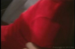'Nina Hartley's Guide To Foreplay' screenshot nº 132