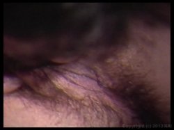 Captura de 'Honey Drippers, The' nº 34