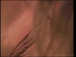 'Tit to Tit 2000' screenshot nº 69