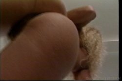 'Up And Cummers 14' screenshot nº 28