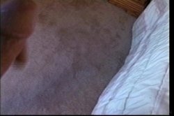 'Up And Cummers 14' screenshot nº 138