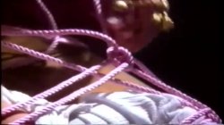 Captura de 'Marilyn Chambers' Little Shop Of Erotica' nº 108