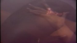 Captura de 'Marilyn Chambers' Little Shop Of Erotica' nº 140