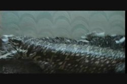Captura de 'Venom 4' nº 8