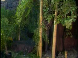 'Little Piece of My Heart' screenshot nº 128