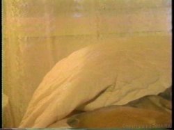 Captura de 'Christy Canyon Triple Feature 6' nº 47