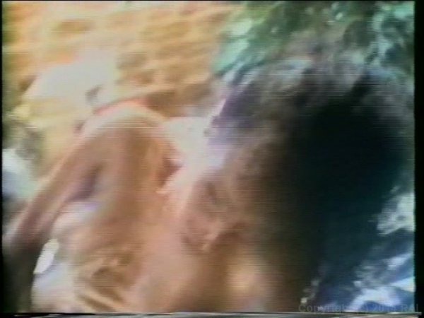 Free Video Preview image 4 from Christy Canyon Triple Feature 6