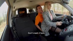 Captura de 'Fake Driving School Volume 15' nº 98