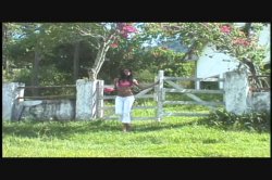 'Something Extra' screenshot nº 97