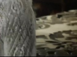 Captura de 'Swedish Erotica Volume 45' nº 135