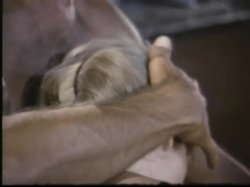 Captura de 'Swedish Erotica Volume 45' nº 31
