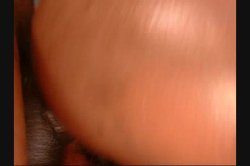 Captura de 'Big Phat Black Wet Butts 8' nº 79