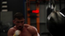 Captura de 'The Spanish Stallion: Zaawaadi's Power Of Wild Beauty' nº 1