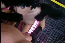 Captura de 'New Wave Hookers 5' nº 133