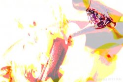 Captura de 'Woman's Touch 3, A' nº 117