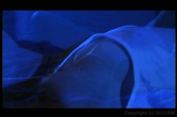 Captura de 'Whore of the Rings' nº 90