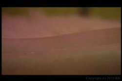 Captura de 'Whore of the Rings' nº 2