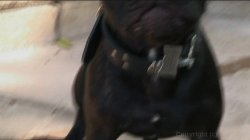 Captura de 'Daddy's Worst Nightmare 15' nº 30