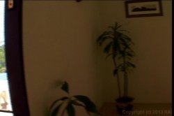 'Internal Cumbustion Cream Pies 11' screenshot nº 80