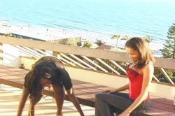 'Lesbian Cheaters' screenshot nº 48