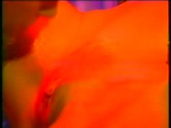 Captura de 'Shemales Down Under' nº 135