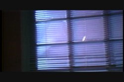 'Stranger Beside Me, The' screenshot nº 5