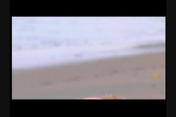 'Fantasy Island' screenshot nº 127