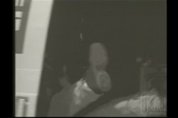 'Double Cross' screenshot nº 4