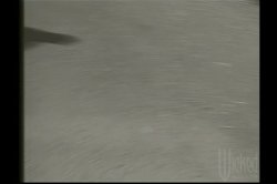 'Double Cross' screenshot nº 2