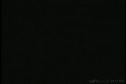 Captura de 'Where the Boys Aren't 10' nº 1