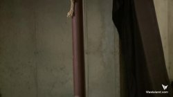 Captura de '7 Submissive Brides 7 MaleDom Brothers' nº 41