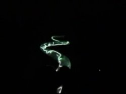 'Amazing Ty 21 - Erotic Nightmare' screenshot nº 4