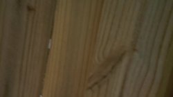 Captura de 'Daddy Likes 'Em Young 2' nº 86