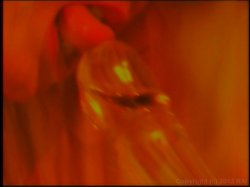'Fem Tango' screenshot nº 6