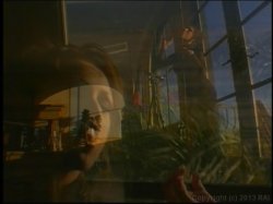 'Fem Tango' screenshot nº 108