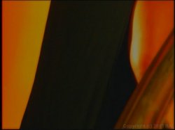 'Fem Tango' screenshot nº 2