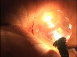 Captura de 'Assploitations 6' nº 3