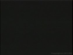 'Video Adventures of Peeping Tom 8' screenshot nº 71