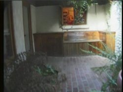 'Video Adventures of Peeping Tom 8' screenshot nº 72